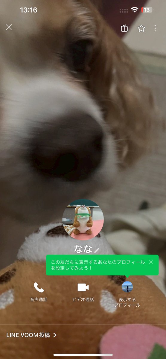 qfortale's tweet photo. @_pnyanq__ 
取引確定してもブロックしてくるので取引する方注意してください
#トラジャ譲 https://t.co/vKPJj1FKFR