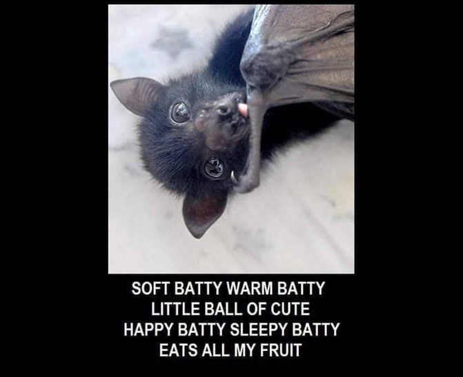 Crin ᚴᚱᛁᚾ TheWizard 🔞 M DNI tweet media