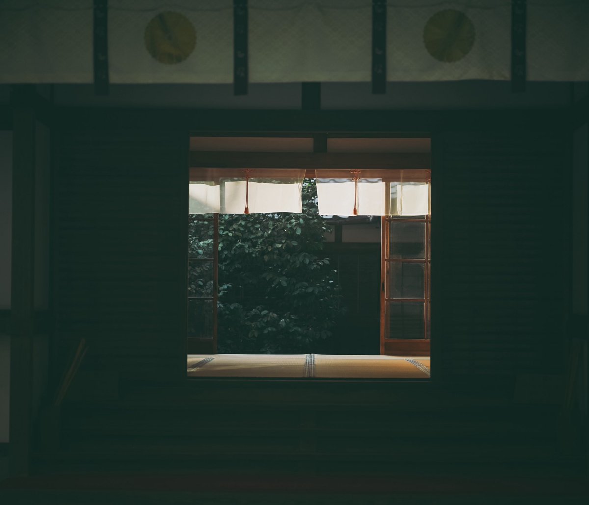 rainbow_camera's tweet photo. 下鴨神社で何気なく撮ったけど顔に見える https://t.co/UpvCobkdbj