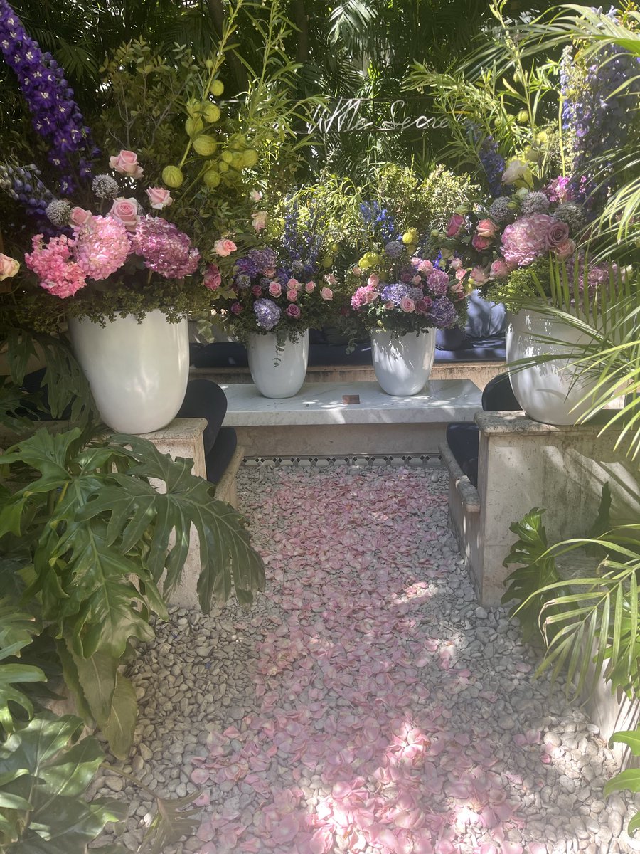 ladianacazador's tweet photo. Celebrando el #amor @FSMexico ♥️♥️ #CDMX #weddingday #misol https://t.co/E16yWHaPEe