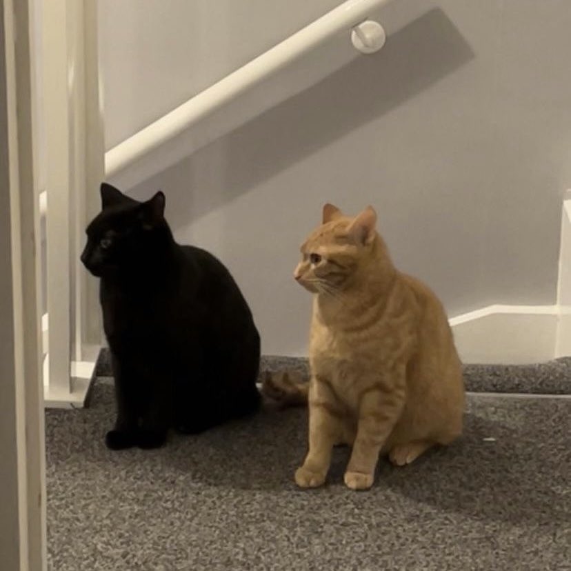 riku pics (@rikuarchives) on Twitter photo 