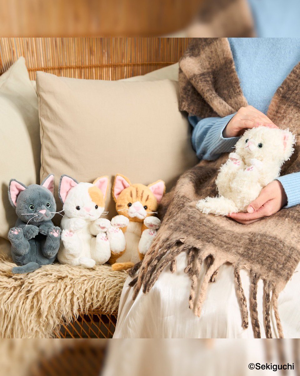 セキグチ公式オンラインショップ (@sekiguchi1918) / Posts / X