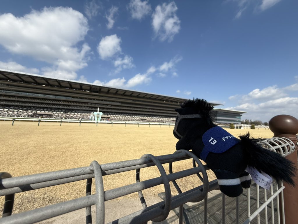 ちゃな (@CyanaP4951) on X