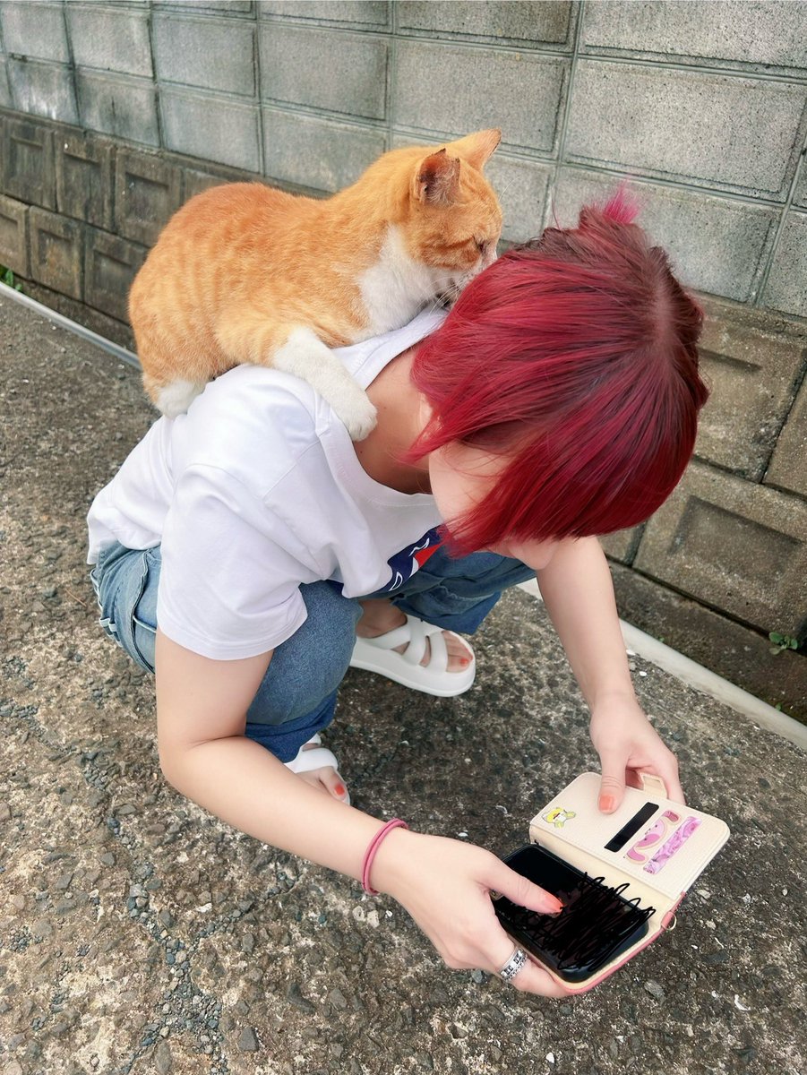 ななせ めろん tweet media