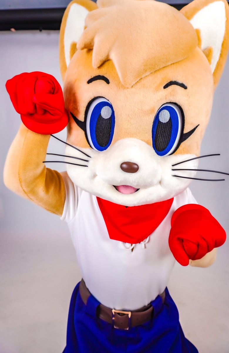 _NeoCat's tweet photo. 今日は我らが #猫の日 だよ！！
にゃんにゃんにゃーん！！(ˆ ̳◝ ·̫ ◜ ̳ˆ) https://t.co/sSJLk6YWDa