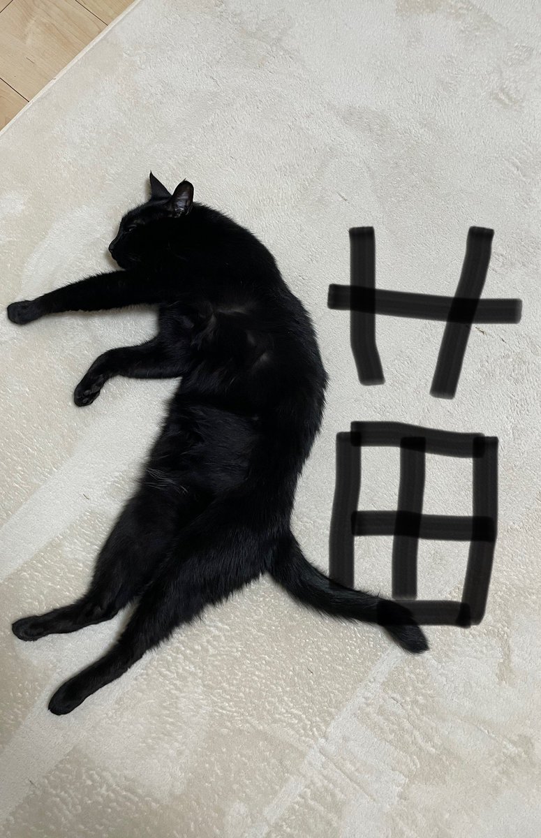 Teagle_Noir's tweet photo. #猫の日なので今まで撮った中で最高の猫写真貼る https://t.co/uuSyc3iPxt