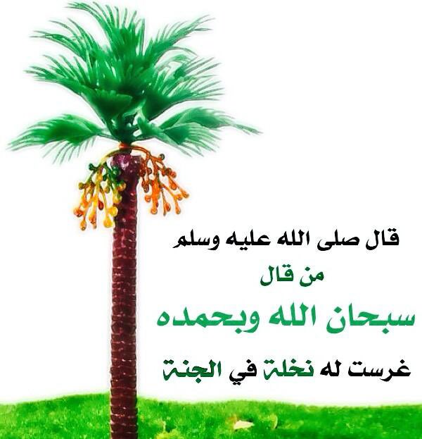 Hamed Fallatah حامد فلاته tweet media