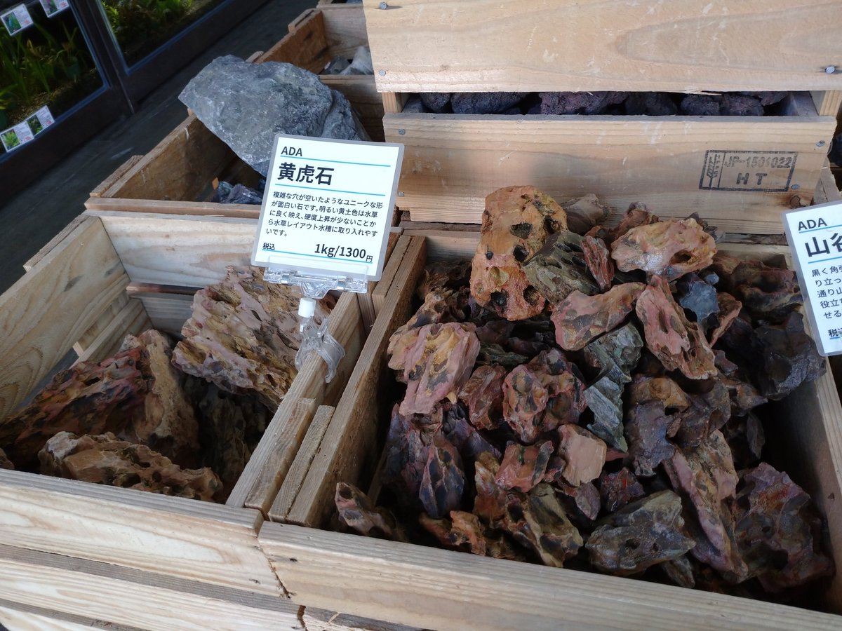 ADA黄虎石たっぷり補充しました！穴のあいたユニークな質感で人気が
