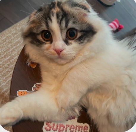 わずぼーん tweet media