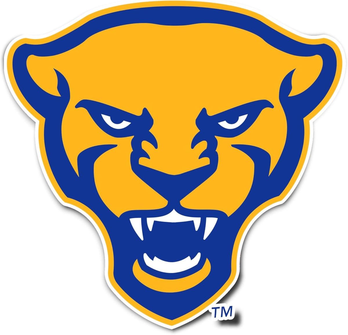 Dylan Williams tweet media