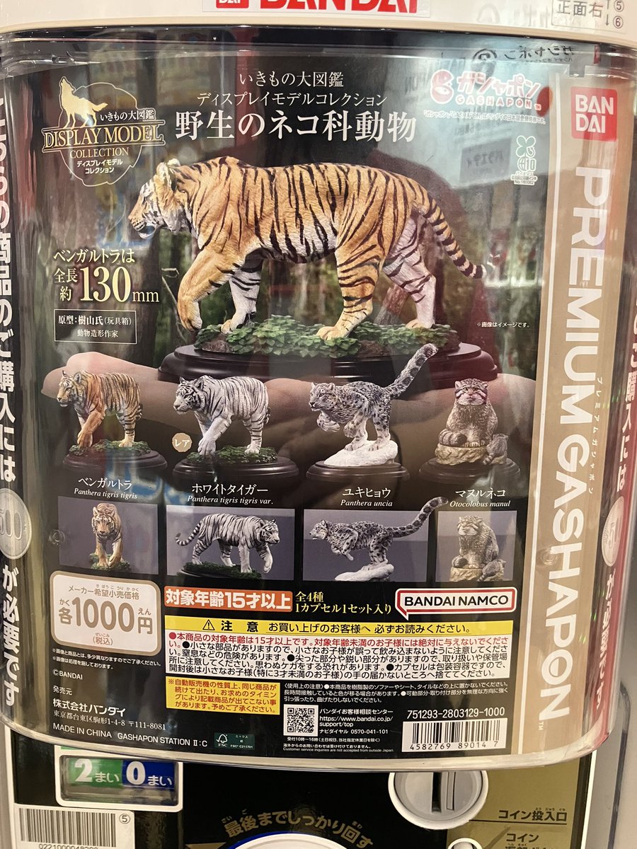 ✨新商品情報✨/ 新商品入荷しております ・いきもの大図鑑