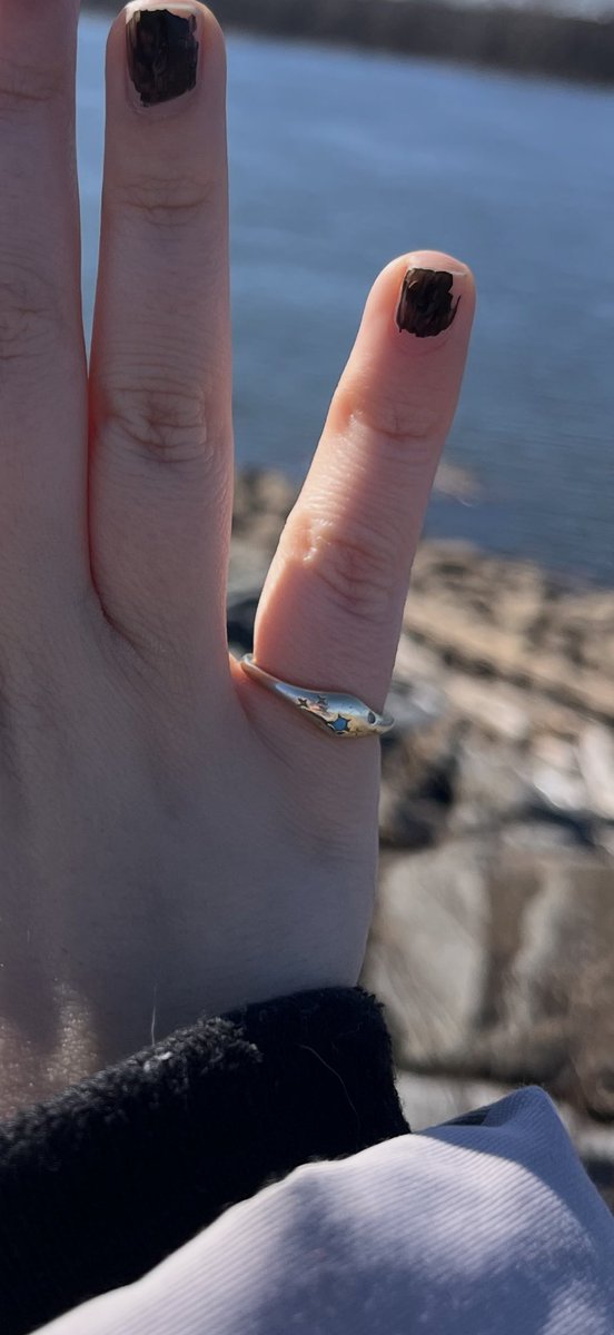 CheybyNature's tweet photo. i really didn’t want to do this but i’m so upset right now, and hoping no one stole it. i lost my ring tonight in a bathroom at UBS tonight, at the 100s level. if anyone has it or knows it was turned in to L&amp;F PLEASE LMN

#TWICE_THISISFOR_WORLD_TOUR #TWICE_BELMONTPARK https://t.co/cWkGiGbRrO