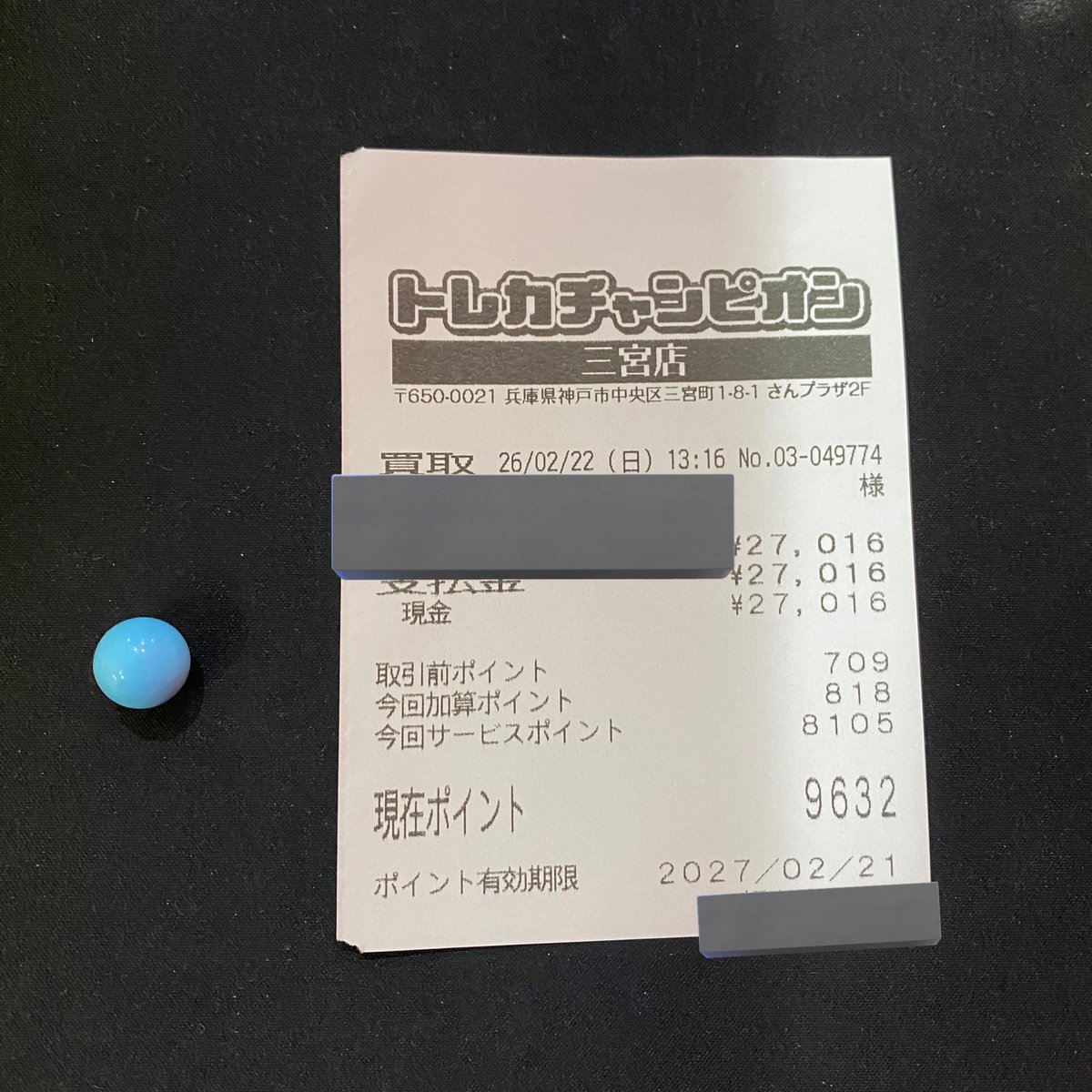 🌈 𝚃𝚘𝚛𝚎𝚌𝚊 𝙲𝚑𝚊𝚖𝚙𝚒𝚘𝚗 𝙽𝚎𝚠𝚜 🌈 なんとなんと