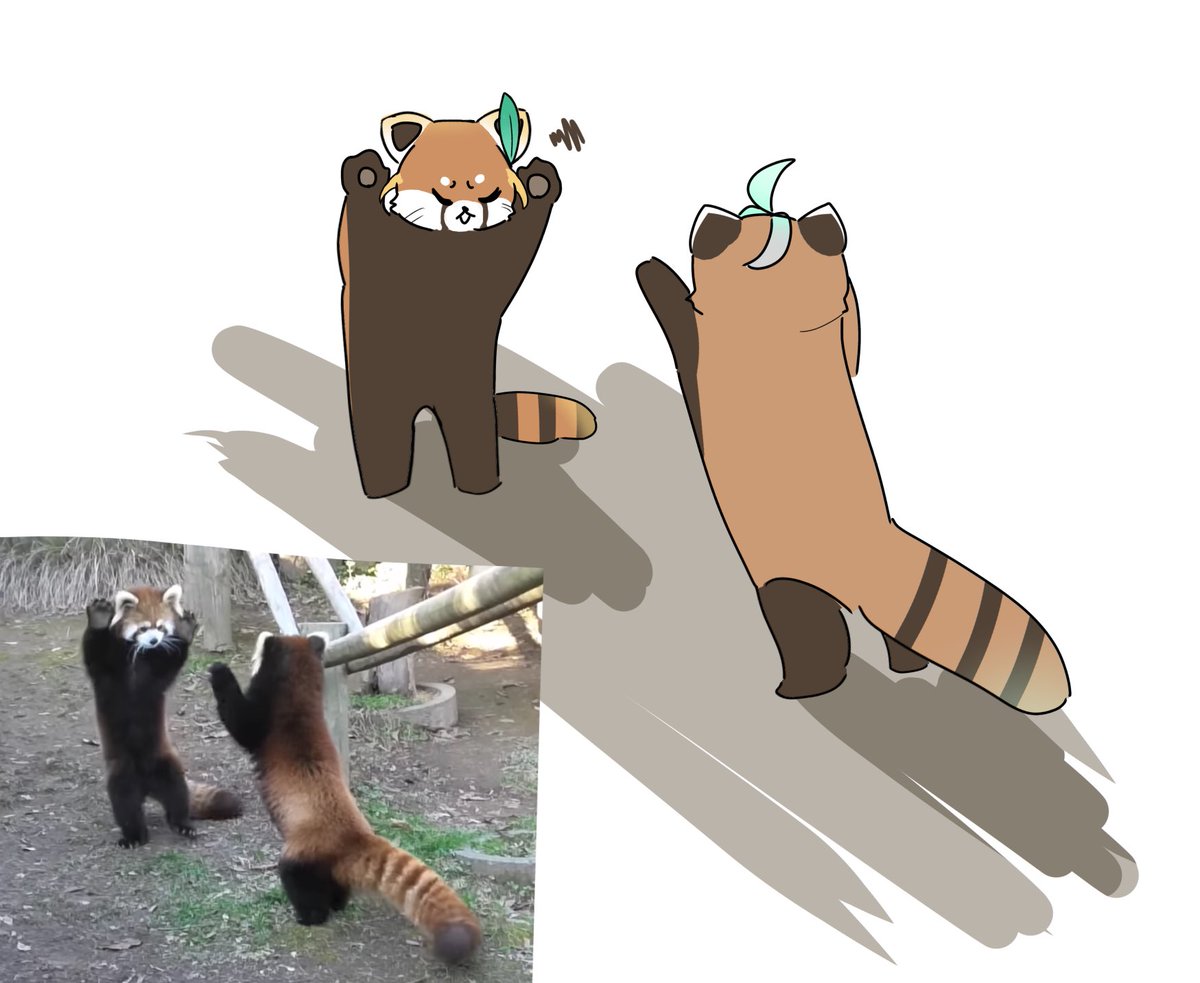 猫…じゃないけど可愛いから良いよね‼️
カヴェとハイゼン