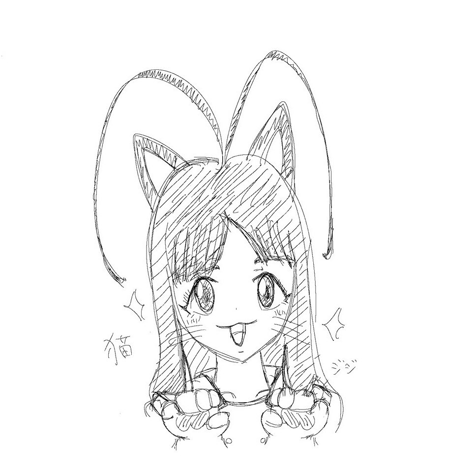 Post by ゆう🍊 on X: ねこ！