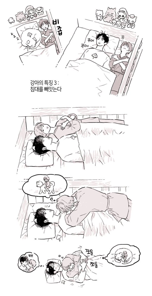 젬킷
고영의특징 강아의특징