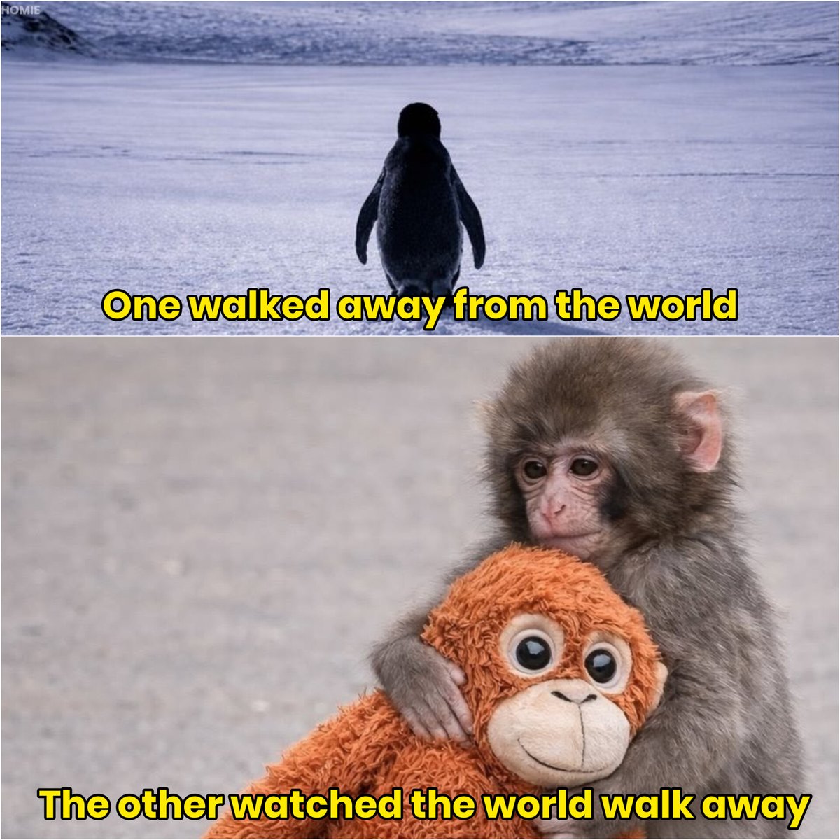 They are not the same.