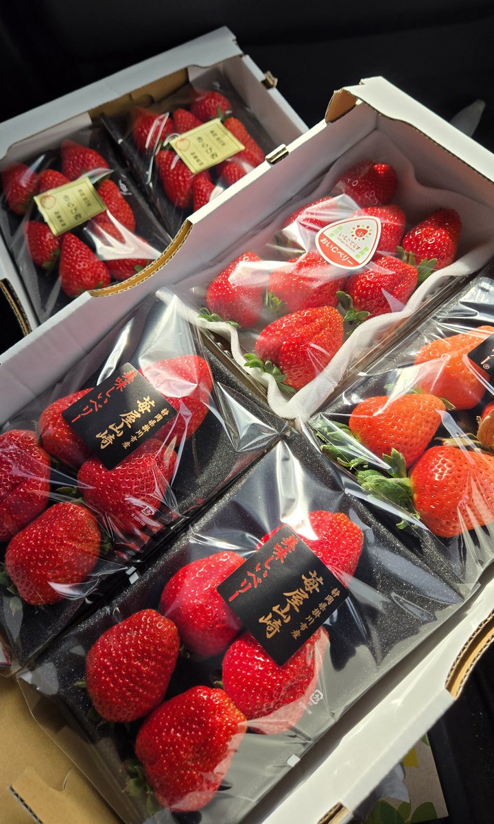 うん、うん、うん、、、業者かよ！！！ 今シーズンフォースステージ