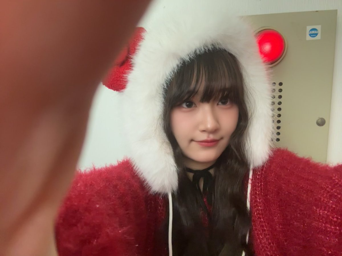 ねこのひきてぃちゃん