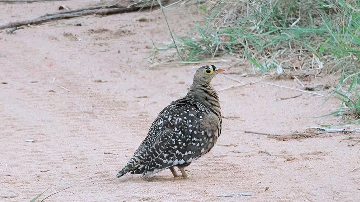 Billie We tweet media