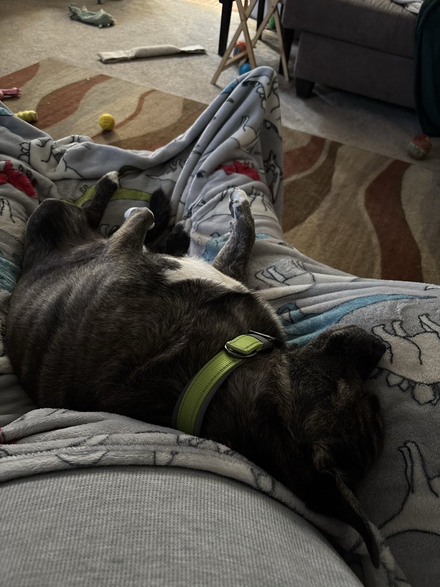 Ed McQue tweet media