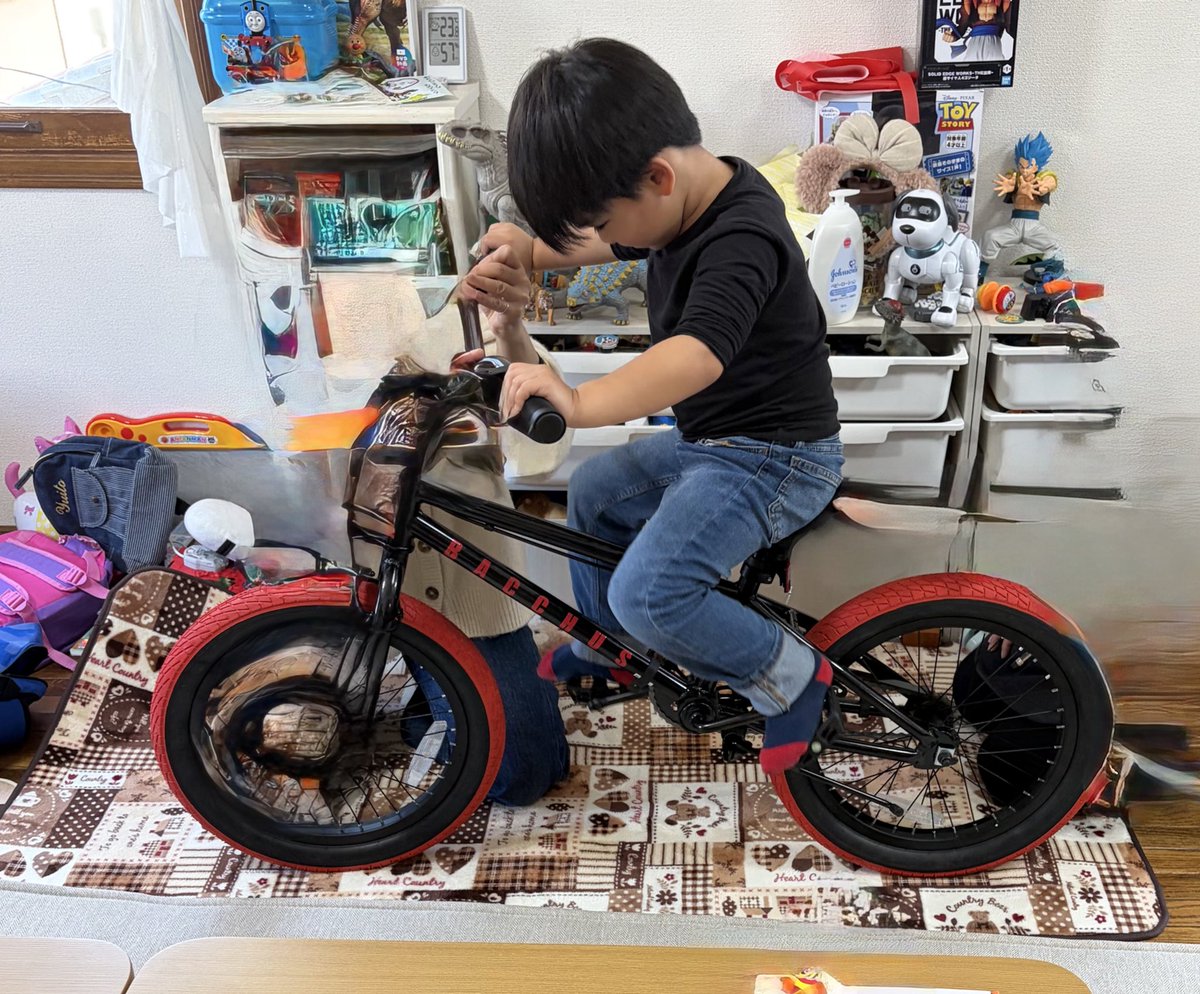 誕生日プレゼント🚲