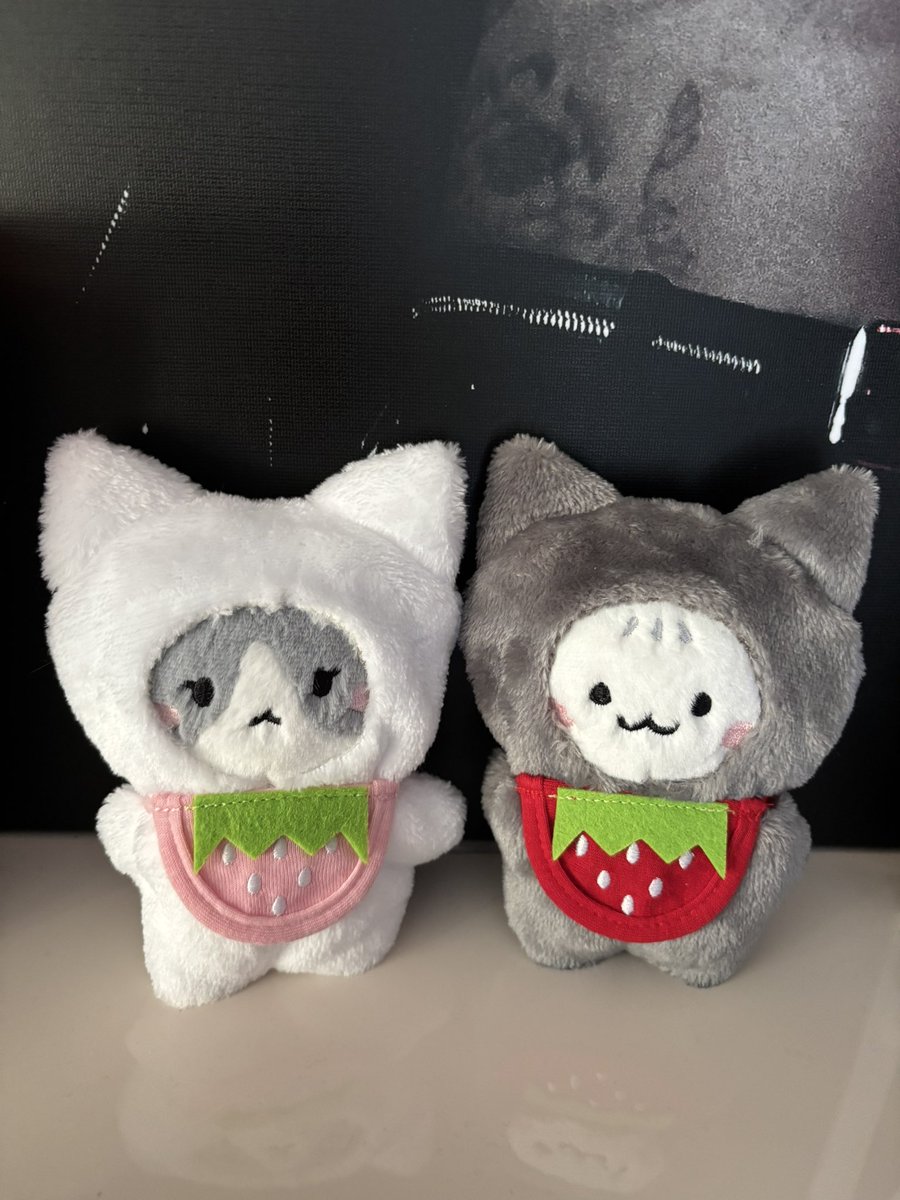 6v6aya's tweet photo. ニャンニャンニャンの日🐱🐥🐱
チングが教えてくれた着ぐるみといちごのスタイ可愛い🍓🫶🏻てみニャンはおめかしスタイル✨
今年のスタバの桜カップも可愛い🌸
そしてうちの子達も可愛い🐱🐱
#TAEMIN #태미
#GGUNG #DAENG https://t.co/Ok7dhUg6FG