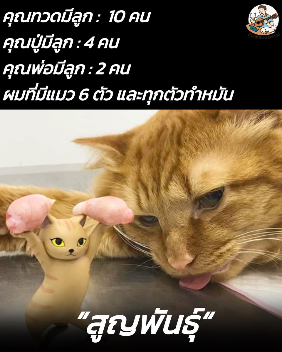 ให้มันจบที่รุ่นผมนี่แหละ 🥹
อาณาจักรสัตว์โลก มีม&amp;สาระ By ตามติดชีวิตAnimal
#แมว #หมา #ทาสแมว #อาณาจักรสัตว์โลก #ตามติดชีวิตAnimal
