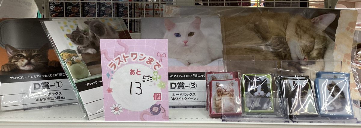 トレカアイテムくじ】🎯 🐈『#猫これくしょん』🐈 1️⃣回