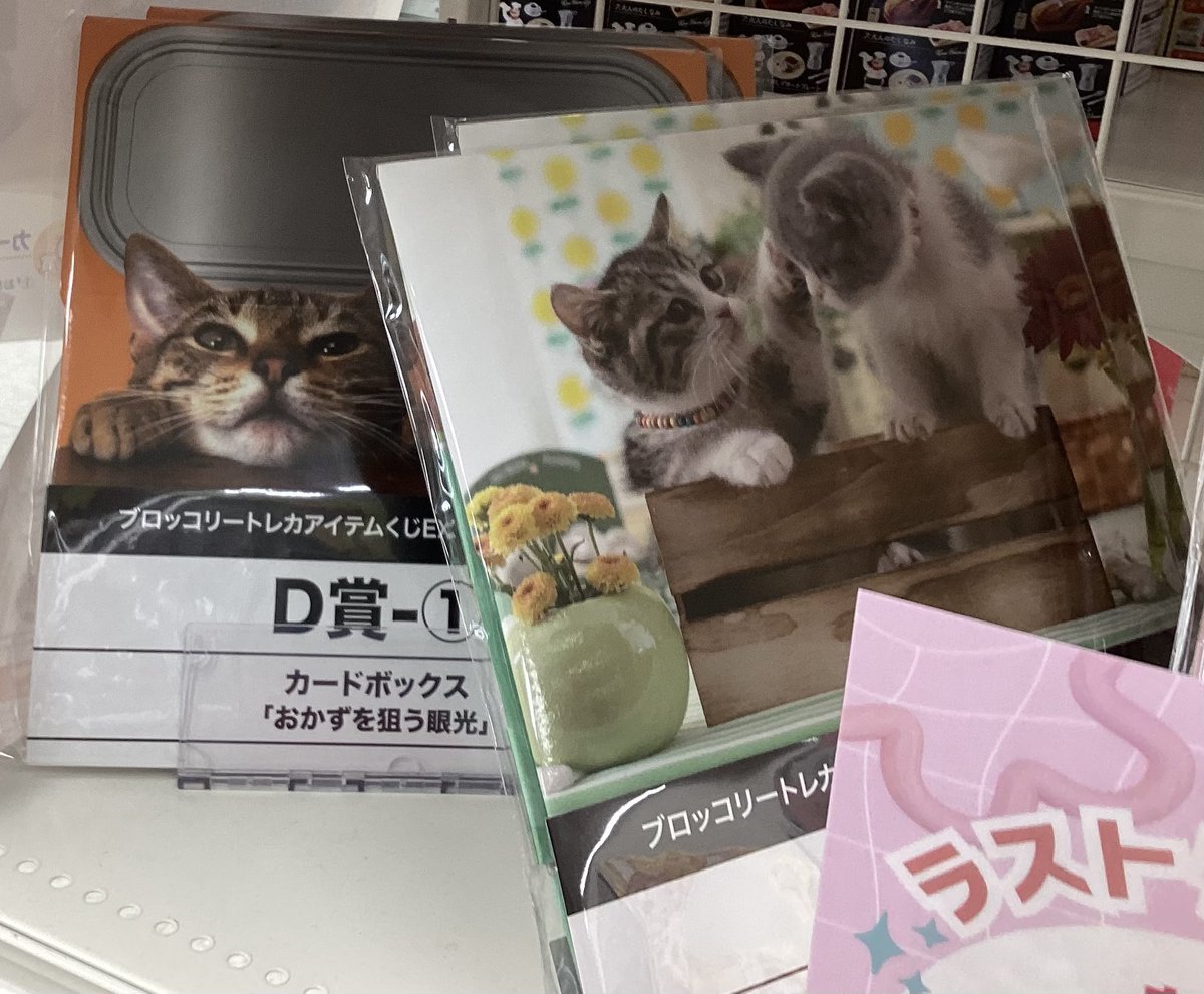 トレカアイテムくじ】🎯 🐈『#猫これくしょん』🐈 1️⃣回