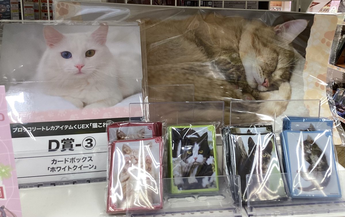 トレカアイテムくじ】🎯 🐈『#猫これくしょん』🐈 1️⃣回