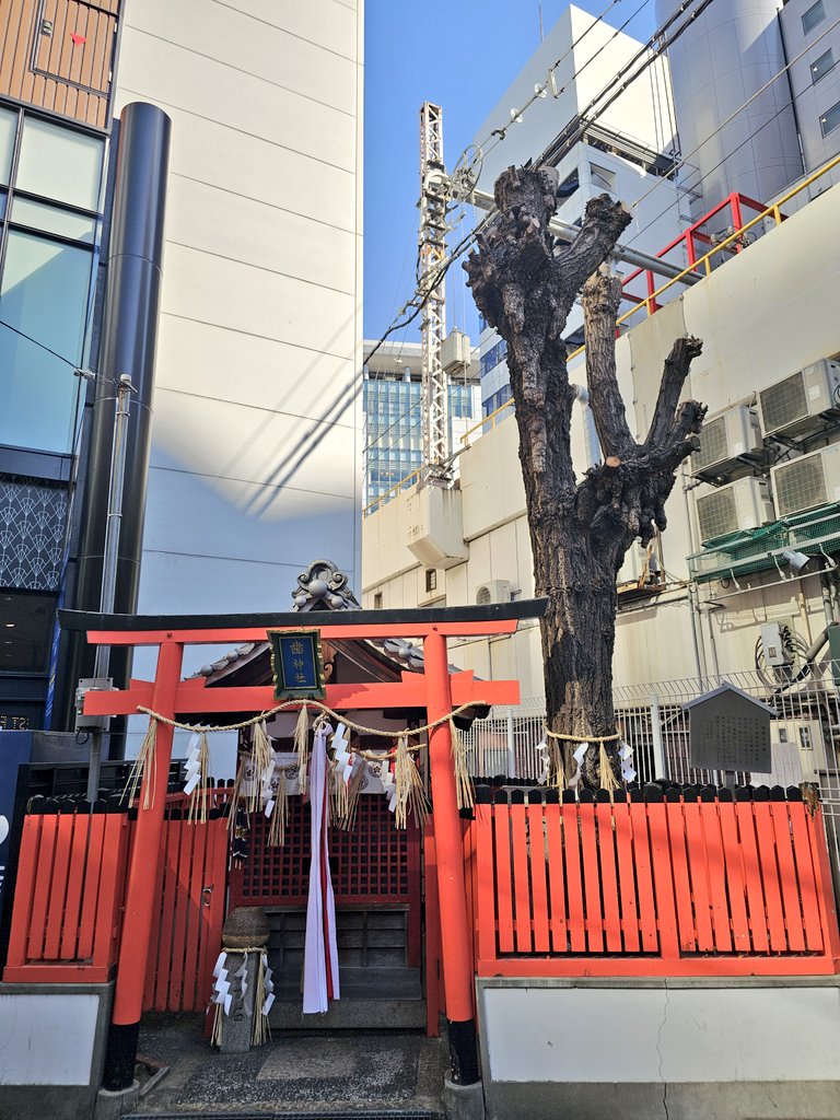 POKO 🇯🇵 (@pokowapoko) / Posts / X