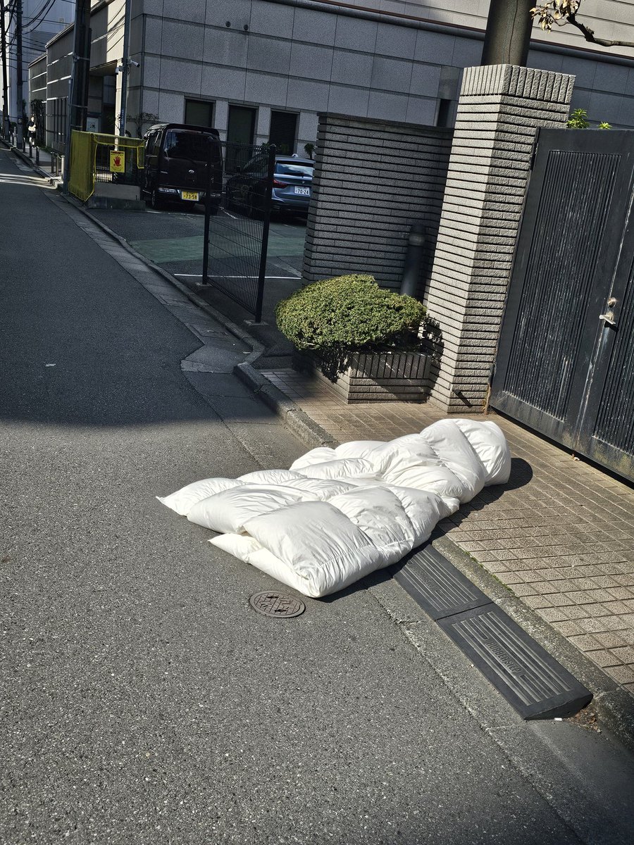 りいふ@次は3/21(土)レゲット (@leaf_sakura) / Posts / X