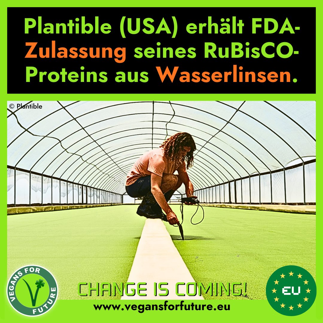 Vegans for Future tweet media