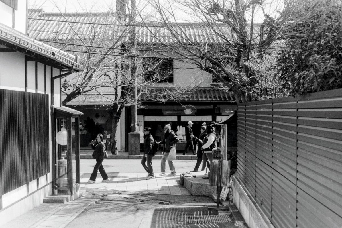 嵐山散歩_4892。 SPD 1:1 20℃ 7分。 #kyoto #arashiyama #フイルム写真