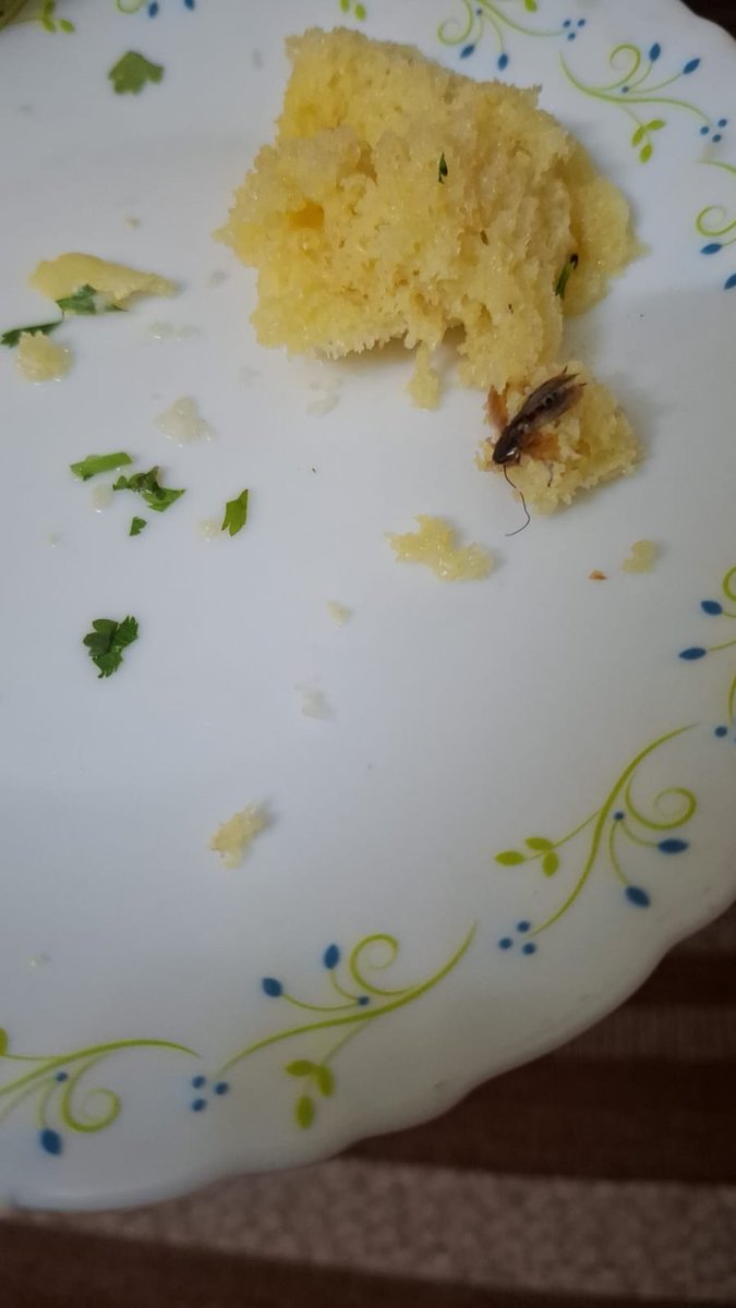 Jayant_P24's tweet photo. @SwiggyCares @Swiggy when you get a cockroach in breakfast. How do you ensure you take action against such restaurants on your platform. https://t.co/c5NgKwwOZ6
