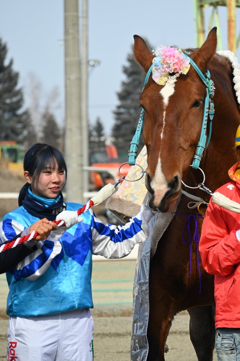 今日も凛としておった女王様 #ばんえい競馬 #サクラヒメ