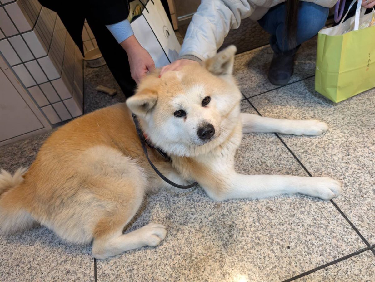 ْ (@65907_30_4) / Posts / X