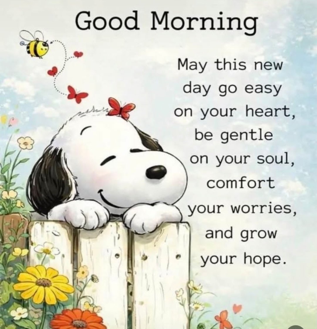 Good morning ❤️❤️🌟🫶..