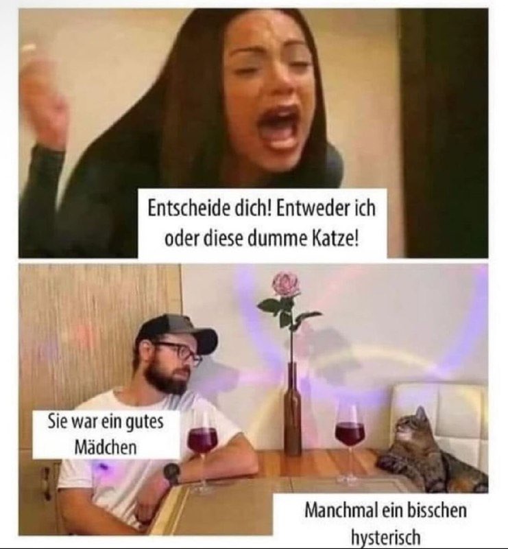 Heinzelratte biodeutsch🐀Wir sind unter Euch💙 (@stink_stiefel_1) on Twitter photo 