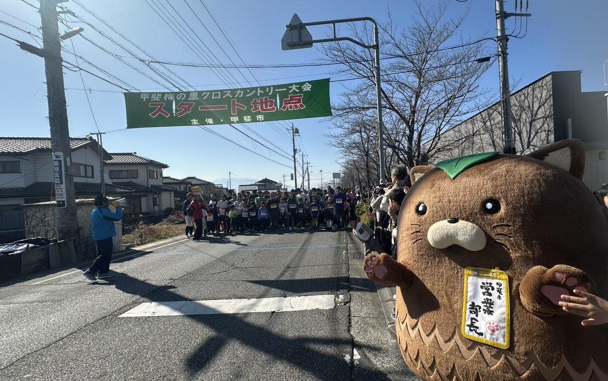 やはたいぬ tweet media