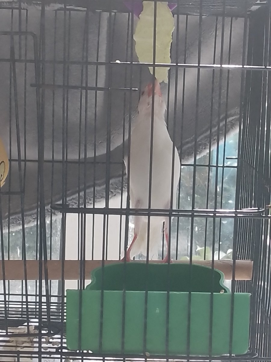 Autumnsun☀️ tweet media