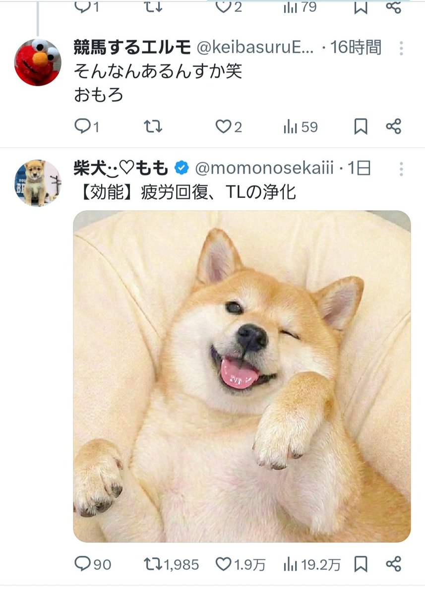 55uma315's tweet photo. また、この並びを浄化してくれた https://t.co/eGDwGemGfw