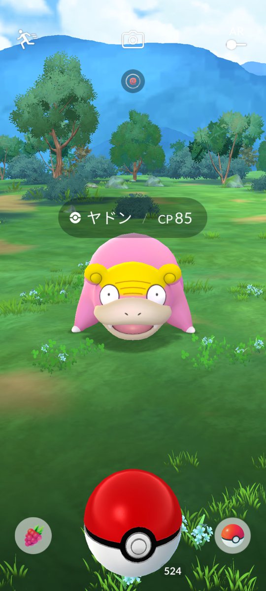 今日もヤドンちゃんがいた