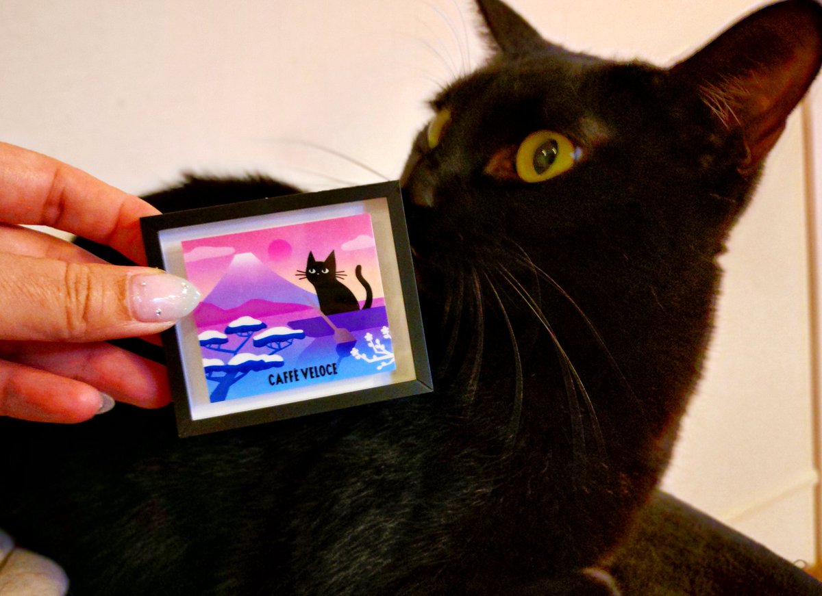 フ”チコ🐺 (@buchi_cco) / Posts / X