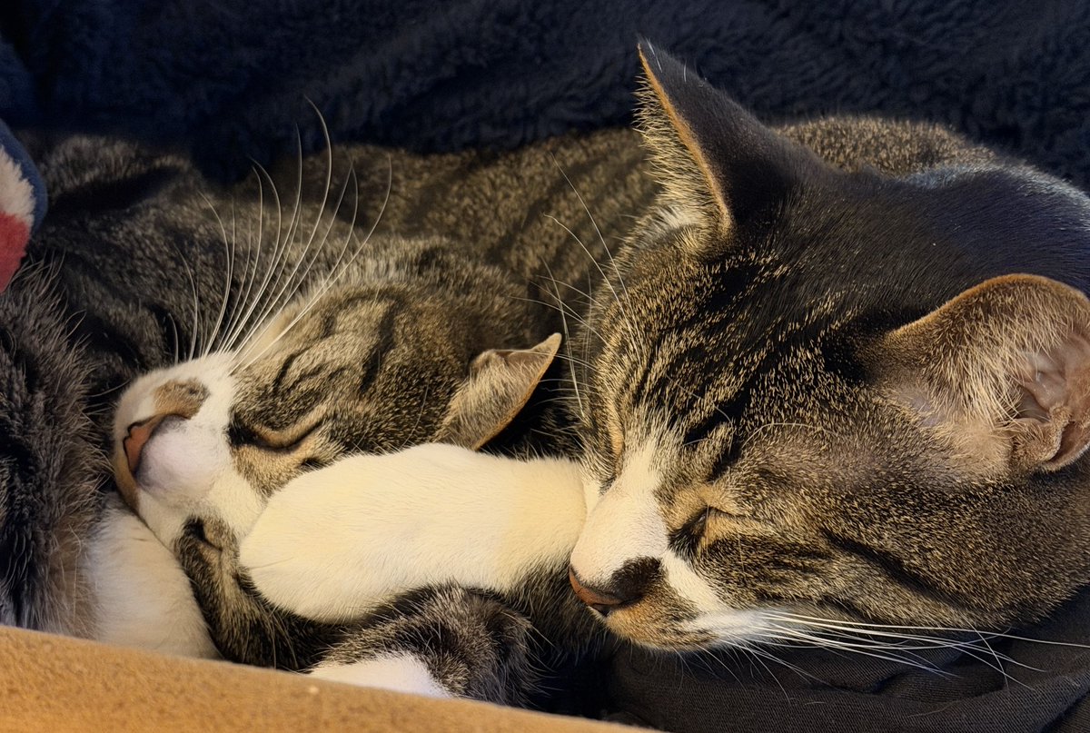 金崎 泰輔 カナサキ タイスケ Taisuke Kanasaki tweet media