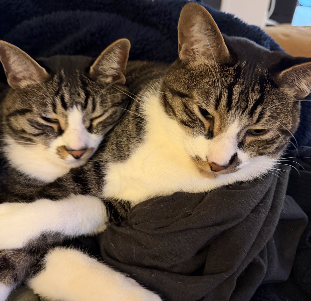 金崎 泰輔 カナサキ タイスケ Taisuke Kanasaki tweet media