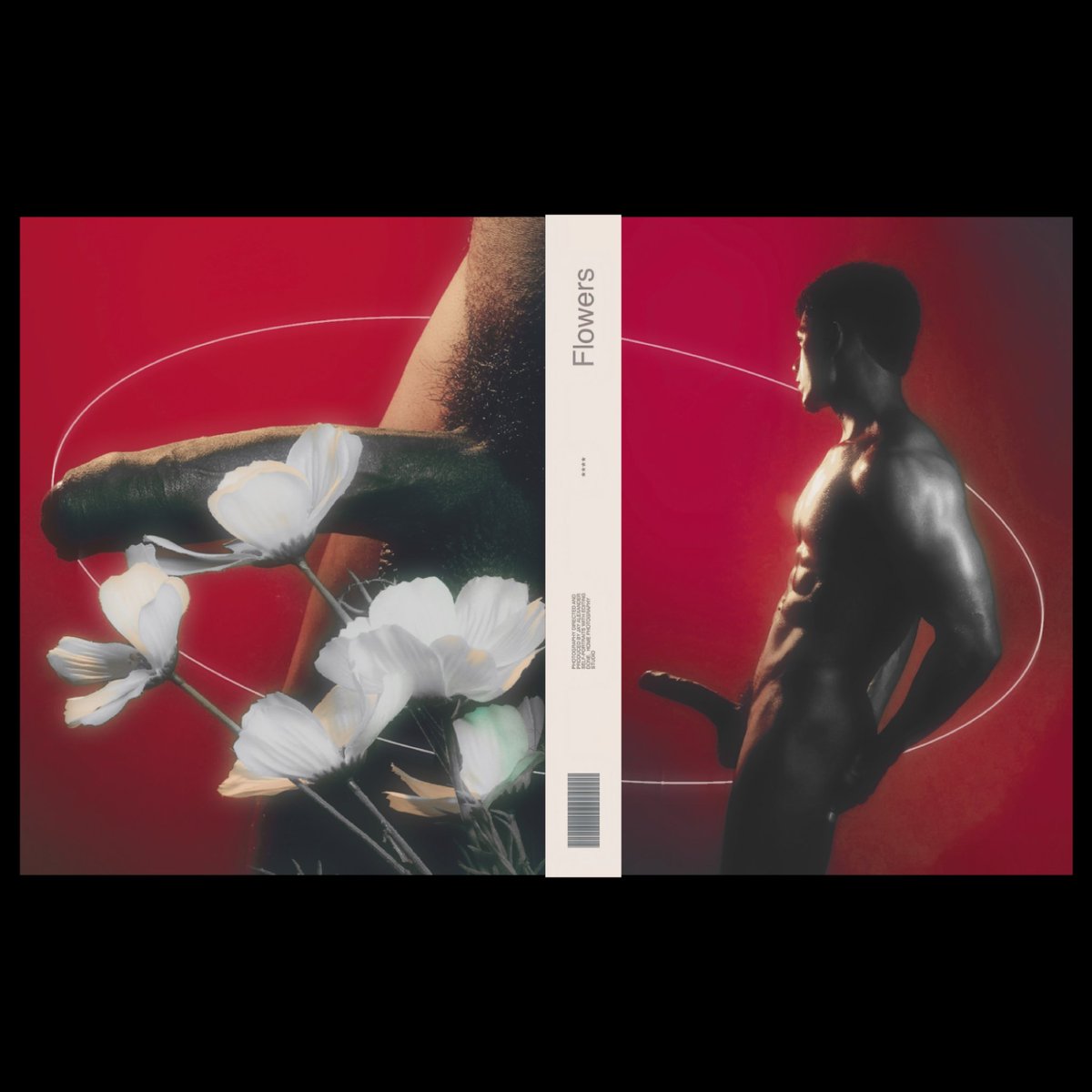 ✧ 馃َََ馃̮̮．𝒪َ𓈒 𝙥𝘶𝓽𝙖̃𝙤 tweet media