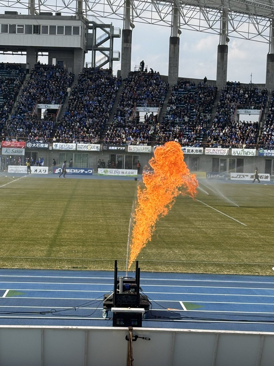 村さんちの茶太郎 (@toratmpp) / Posts / X