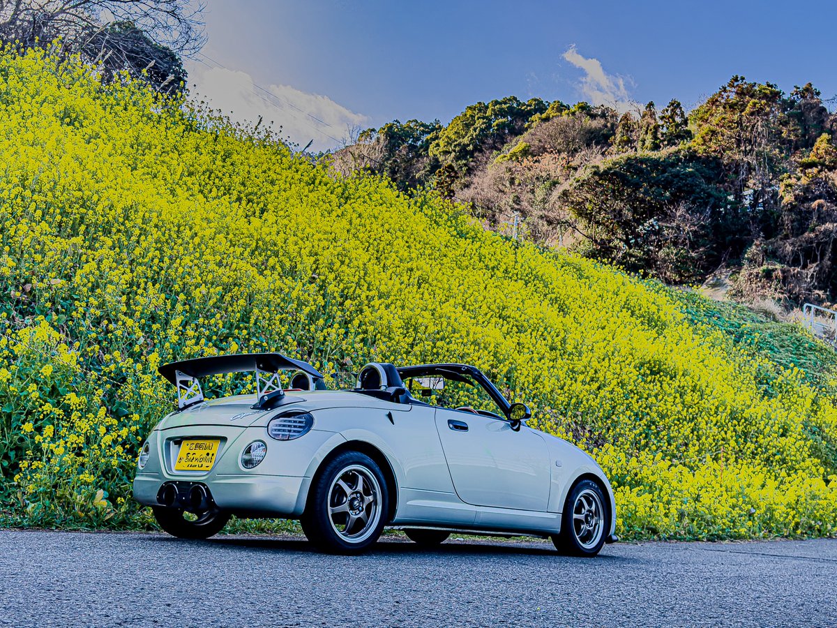 今日はばーちゃんの49日で日帰り愛媛。ブルアカで話題の下灘駅近くで